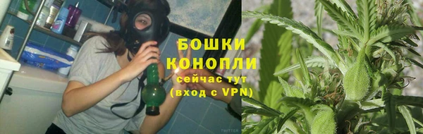 ГАЛЛЮЦИНОГЕННЫЕ ГРИБЫ Козловка