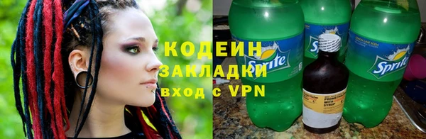 ГАЛЛЮЦИНОГЕННЫЕ ГРИБЫ Козловка