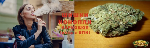 ГАЛЛЮЦИНОГЕННЫЕ ГРИБЫ Козловка