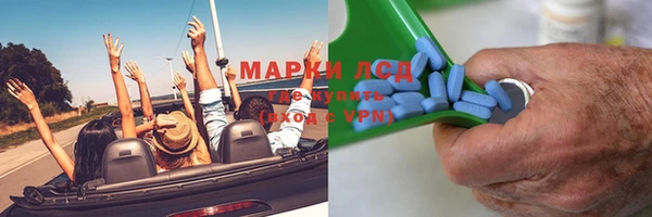 ГАЛЛЮЦИНОГЕННЫЕ ГРИБЫ Козловка