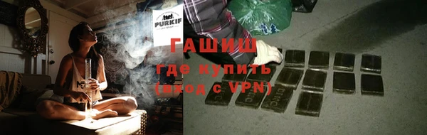 ГАЛЛЮЦИНОГЕННЫЕ ГРИБЫ Козловка