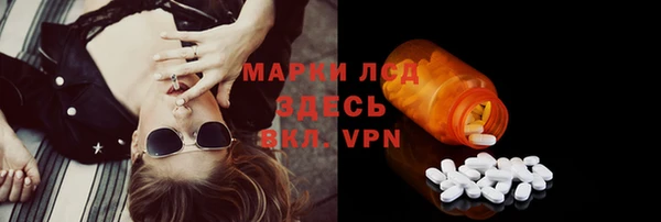ГАЛЛЮЦИНОГЕННЫЕ ГРИБЫ Козловка