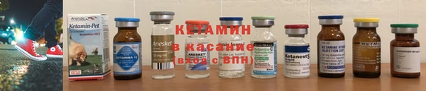 ГАЛЛЮЦИНОГЕННЫЕ ГРИБЫ Козловка