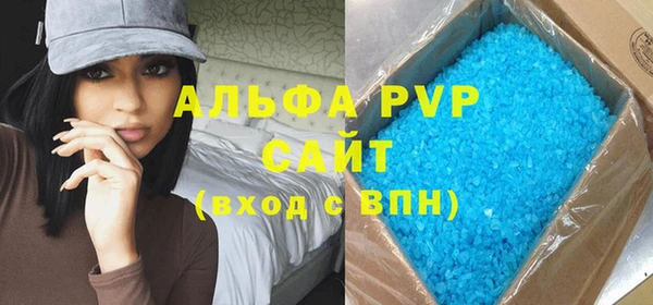 ГАЛЛЮЦИНОГЕННЫЕ ГРИБЫ Козловка