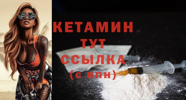 ГАЛЛЮЦИНОГЕННЫЕ ГРИБЫ Козловка