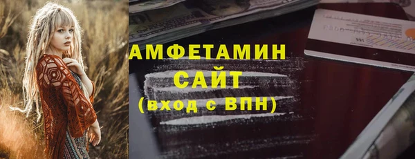 ГАЛЛЮЦИНОГЕННЫЕ ГРИБЫ Козловка