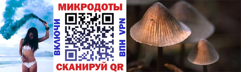 Купить закладки  Кизел  Псилоцибиновые грибы MAGIC MUSHROOMS 